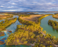 a photo of the river Murray system with high water levels.