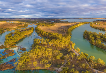 a photo of the river Murray system with high water levels.