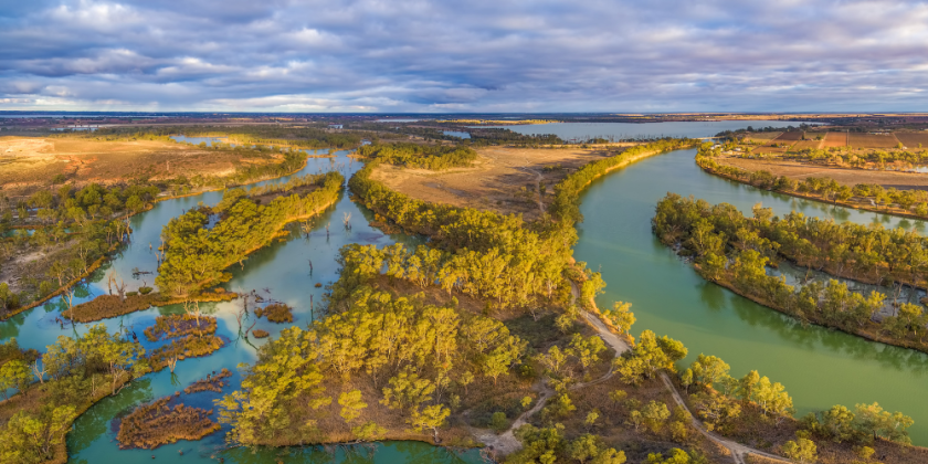 a photo of the river Murray system with high water levels.