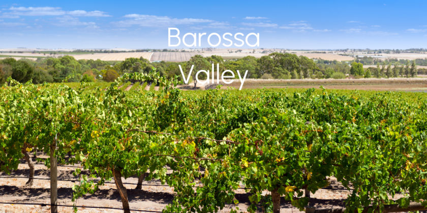 Urban Planning Development Barossa Valley
