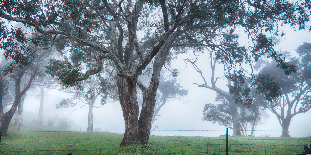 Adelaide Hills Urban Planning Development